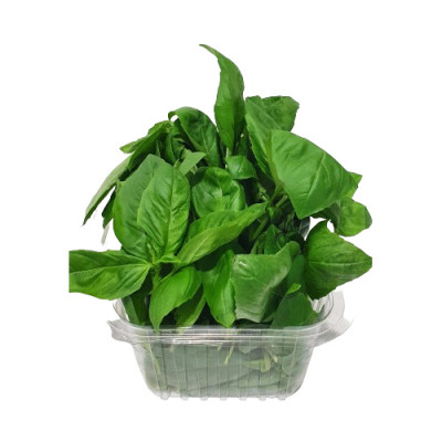Svježi bosiljak 100 g