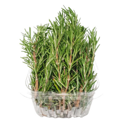 Svježi ruzmarin 100 g