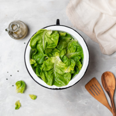 Naša bašta zelena salata